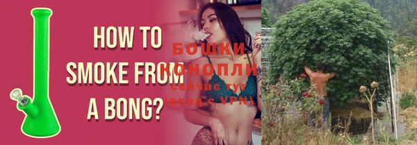 ГАЛЛЮЦИНОГЕННЫЕ ГРИБЫ Лиски